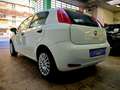 Fiat Punto Punto 1.2 Street 5 Porte My18 Weiß - thumbnail 3