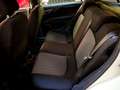 Fiat Punto Punto 1.2 Street 5 Porte My18 Weiß - thumbnail 11