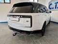 Land Rover Range Rover D350 Autobiography  Mild-Hybrid IAHKIPanoIVOLL Blanc - thumbnail 7