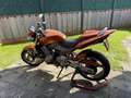 Honda Hornet CB 600 F Oranje - thumbnail 3