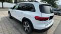 Mercedes-Benz GLB 200 4Matic 8G-DCT Progressive Weiß - thumbnail 5