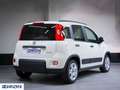 Fiat Panda 1.0 FireFly Hybrid Neo Patentati - Km0 Blanco - thumbnail 5