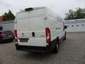 Peugeot Boxer Kasten Hochraum 435 L4H2 Premium BlueHDi Blanc - thumbnail 8
