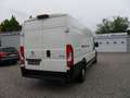 Peugeot Boxer Kasten Hochraum 435 L4H2 Premium BlueHDi Blanc - thumbnail 5