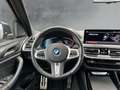 BMW iX3 Impressive M SPORT LC PROFNAVI HuD KAMERA 360° Gris - thumbnail 10