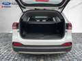 Kia Sorento 2.2 CRDi Platinum Edition ACC+Navi+Pano Weiß - thumbnail 13