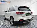 Kia Sorento 2.2 CRDi Platinum Edition ACC+Navi+Pano Weiß - thumbnail 10