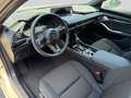 Mazda 3 2.5L e-SKYACTIV G Exclusive-line Automatik - thumbnail 15