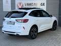 Ford Kuga 2.5 PHEV ST-Line X PANO,NAV/CAM,19INCH,HUD Blanc - thumbnail 5