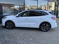 Ford Kuga 2.5 PHEV ST-Line X PANO,NAV/CAM,19INCH,HUD Blanc - thumbnail 8