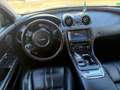 Jaguar XJ Premium Luxury Motor Schade Grau - thumbnail 10