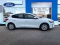 Ford Focus 1.0 Ecoboost Trend 100 Blanc - thumbnail 4