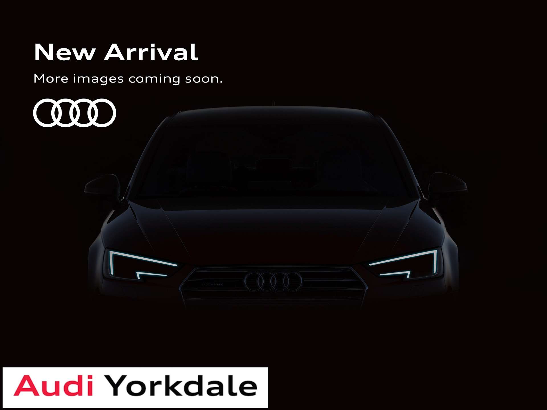 2025 Audi Q8