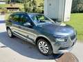Skoda Kamiq Ambition Navi Sitzhzg. PDC AHK Kamera Grau - thumbnail 6