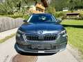 Skoda Kamiq Ambition Navi Sitzhzg. PDC AHK Kamera Grau - thumbnail 3