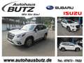 Subaru Forester 2.0 ie, Active, Anhängekupplung, M+S Blanc - thumbnail 1