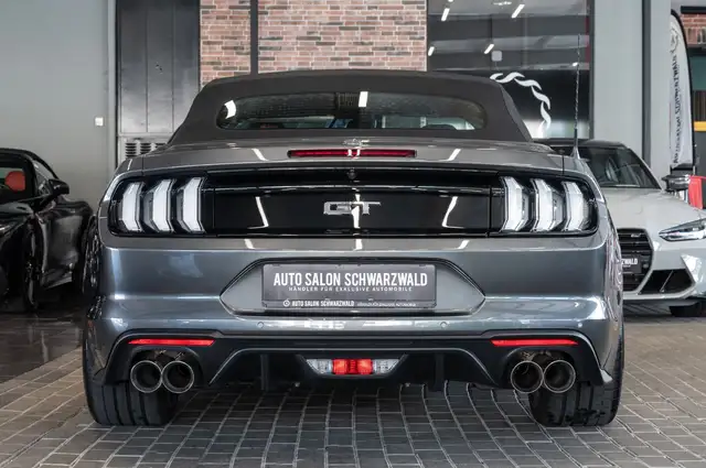 Ford Mustang view 10