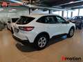 Ford Kuga 1.5 EcoBoost Trend FWD 150 Blanco - thumbnail 12