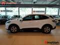 Ford Kuga 1.5 EcoBoost Trend FWD 150 Blanco - thumbnail 6