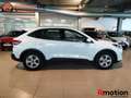 Ford Kuga 1.5 EcoBoost Trend FWD 150 Blanco - thumbnail 14