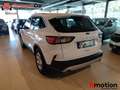 Ford Kuga 1.5 EcoBoost Trend FWD 150 Blanco - thumbnail 9