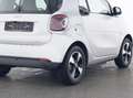 smart forTwo EQ coupe passion EXCLUSIVE+JBL:JUST NICE! Weiß - thumbnail 5