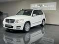Mercedes-Benz GLK 250 CDI BlueEfficiency 4Matic//P.Dach/ Weiß - thumbnail 4