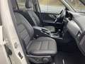 Mercedes-Benz GLK 250 CDI BlueEfficiency 4Matic//P.Dach/ Weiß - thumbnail 13