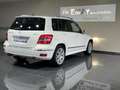 Mercedes-Benz GLK 250 CDI BlueEfficiency 4Matic//P.Dach/ Weiß - thumbnail 6