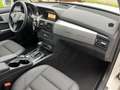 Mercedes-Benz GLK 250 CDI BlueEfficiency 4Matic//P.Dach/ Weiß - thumbnail 12