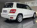Mercedes-Benz GLK 250 CDI BlueEfficiency 4Matic//P.Dach/ Weiß - thumbnail 8
