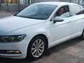 Volkswagen Passat Passat VIII 2015 Berlina 1.6 tdi Trendline 120cv White - thumbnail 2