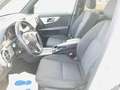Mercedes-Benz GLK 220 CDI BE 4Matic*AUTOM*BI-XEN*AHK*NAVI* Blanc - thumbnail 9