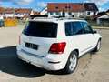 Mercedes-Benz GLK 220 CDI BE 4Matic*AUTOM*BI-XEN*AHK*NAVI* Blanc - thumbnail 5
