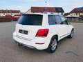 Mercedes-Benz GLK 220 CDI BE 4Matic*AUTOM*BI-XEN*AHK*NAVI* Blanc - thumbnail 5