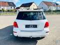 Mercedes-Benz GLK 220 CDI BE 4Matic*AUTOM*BI-XEN*AHK*NAVI* Blanc - thumbnail 6