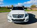 Mercedes-Benz GLK 220 CDI BE 4Matic*AUTOM*BI-XEN*AHK*NAVI* Blanc - thumbnail 2