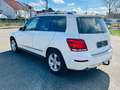 Mercedes-Benz GLK 220 CDI BE 4Matic*AUTOM*BI-XEN*AHK*NAVI* Blanc - thumbnail 7