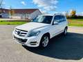 Mercedes-Benz GLK 220 CDI BE 4Matic*AUTOM*BI-XEN*AHK*NAVI* Blanc - thumbnail 1