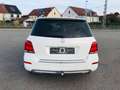 Mercedes-Benz GLK 220 CDI BE 4Matic*AUTOM*BI-XEN*AHK*NAVI* Blanc - thumbnail 6
