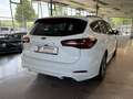 Ford Focus Turnier ST-Line X AHK ACC TW LHZ CAM GJR Weiß - thumbnail 9