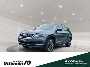 Ambition 140kw TDI DSG *AHK*4x4*RFK*NAVI*