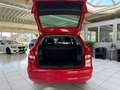 Skoda Fabia 1.2 TSI DSG Ambition Klima Sitzh. PDC GRA Rouge - thumbnail 21