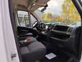 Fiat DUCATO  2.3 MJT 120 CV DOPPIA CABINA CASSONE Bianco - thumbnail 11