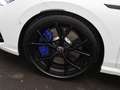 Volkswagen Golf R 2.0TSI DSG / Pano, Matrix, IQ.Drive, Navi Weiß - thumbnail 18