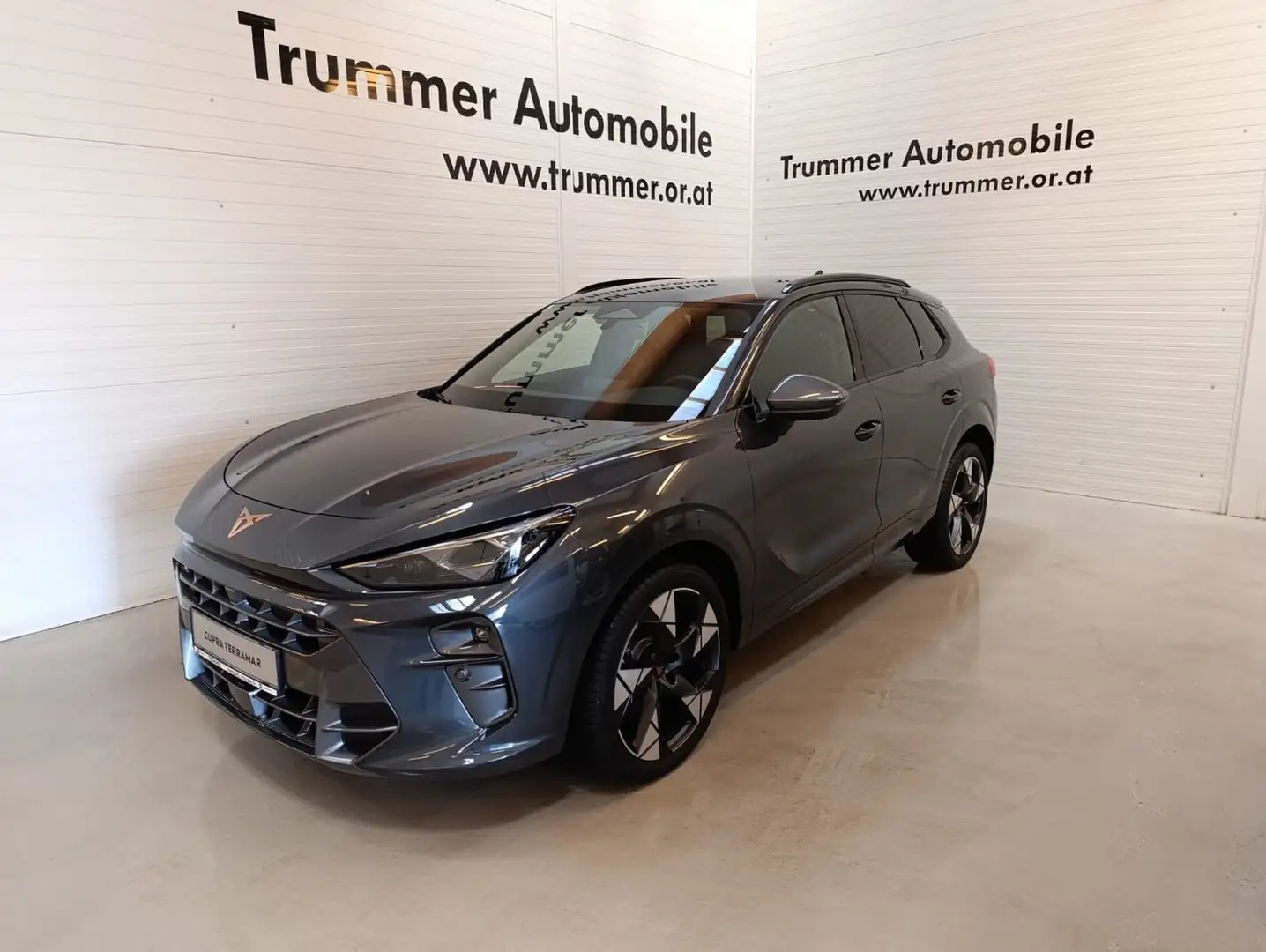 CUPRA Terramar 1.5 e-TSI 150 PS DSG Grau - 1