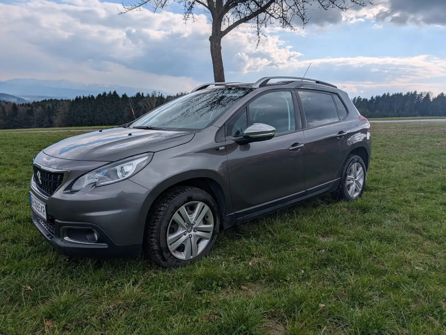 Peugeot 2008 2008 1,6 BHDI S Grau - 1