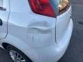 Fiat Punto 5p 1.3 mjt 2,  95cv, 2018, Euro 6B,  Grandinata! Blanc - thumbnail 15