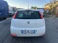 Fiat Punto 5p 1.3 mjt 2,  95cv, 2018, Euro 6B,  Grandinata! Blanc - thumbnail 4