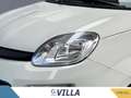 Fiat Panda 1.0 70cv Hybrid Bianco - thumbnail 6